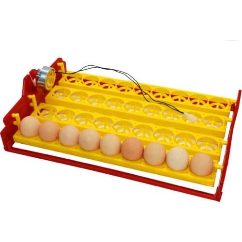 36 Eggs Bird Eggs Duck Goose Pigeon Quail Automatic Incubator Incubation Equipment The Birds Poultry Incubator Equipment 1set