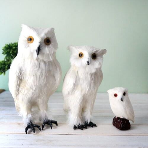 Owl feathers Bird specimen ornament photographic props Static model home furnishing craft statues Home decoration dies