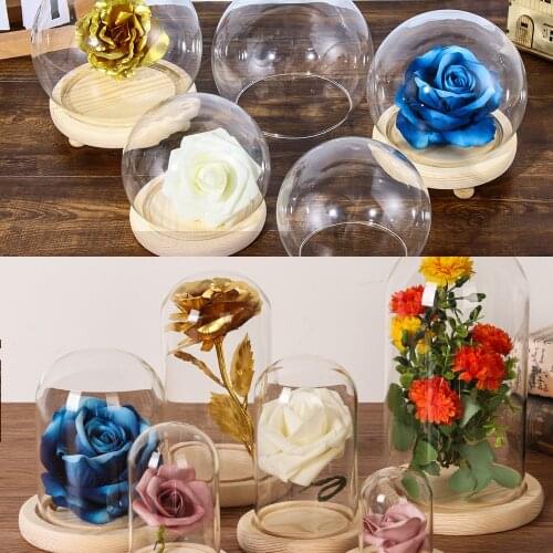 1Pcs Spherical Glass Cloche Jar Display Stand Cover Terrarium Bottle with Wooden Base Acrylic Dust Cover Display Box Flower Box