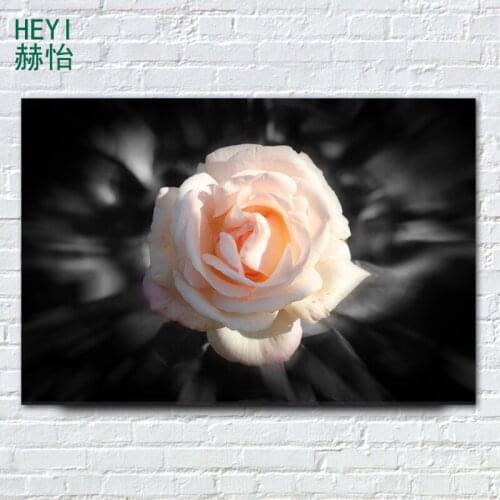 Modern Canvas Painting Pink Rose Flower Posters and Prints Black Wall Art Print Wall Pictures for Living Room Home Decor SY01
