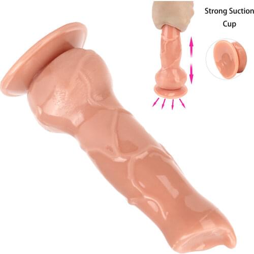 Big Dildos Anal Plug No Vibrator With Suction Cup Consoladores Femenino Fake Dog Animal Penis Sex Toys for Women