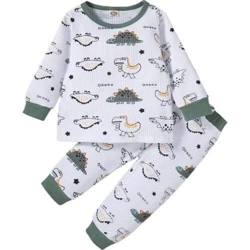 Toddler Kids Baby Girls Boys 2Pcs Fall Outfits, Long Sleeve Crew Neck Dinosaur Tops + Bow Pants Set 1-5Y