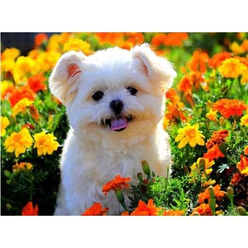 5D DIY Diamond Embroidery animal 5D round&square Diamond painting dog Diamonds mosaic full rhinestone cross stitch flower