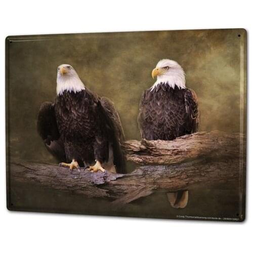 Cartel de hojalata para decoracion del hogar barra de cafe de aguila de cola blanca