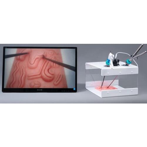 Laparoscopy simulation training equipment Gynecological surgery simulation training device with Straight rod endoscope