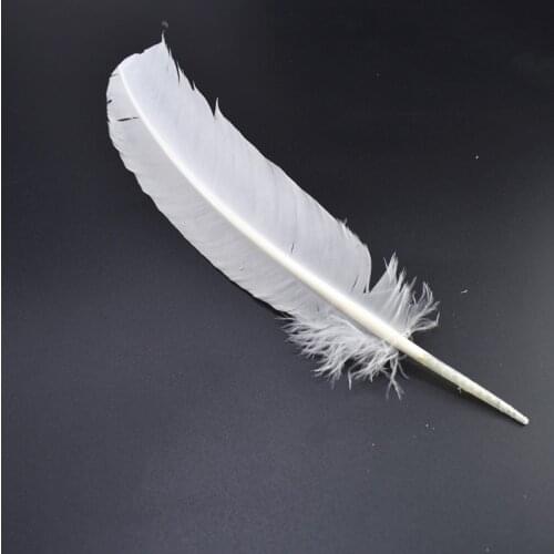 10pcs/lot Natural White Turkey Feathers for Jewelry Making 25-30CM DIY Colored Feathers Christmas Carnival Headress Decorative