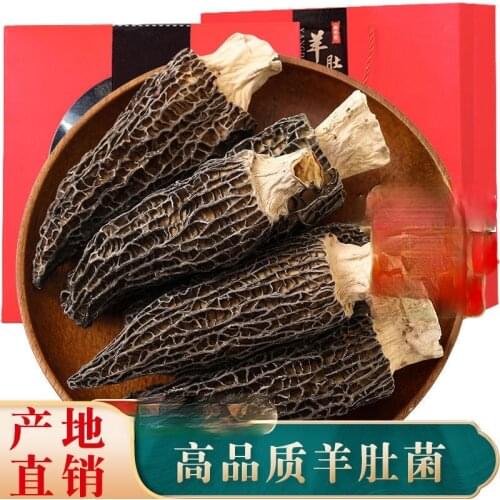 Dried morel mushrooms wholesale cut stalk wild edible mushrooms pine mushrooms non-fresh specialties in soup
