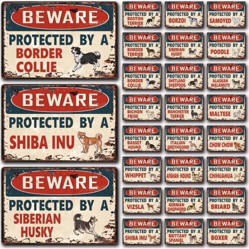 [ Kelly66 ] Dog Beware Protected By A Husky Borzoi Border Collie Metal Sign Home Decor Bar Wall Art Painting 20*30 CM Size Dy155