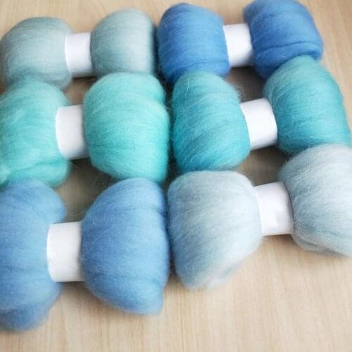 WFPFBEC DIY 70S combed 100% wool merino wool for felting wool roving fiber blue sets 10g/bag 6colors