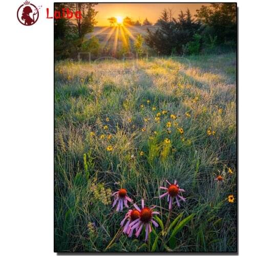 Full square round Diamond Painting Sunrise natural landscape diamond art 3d Picture with rhinestones handmake cross Stitch mosai