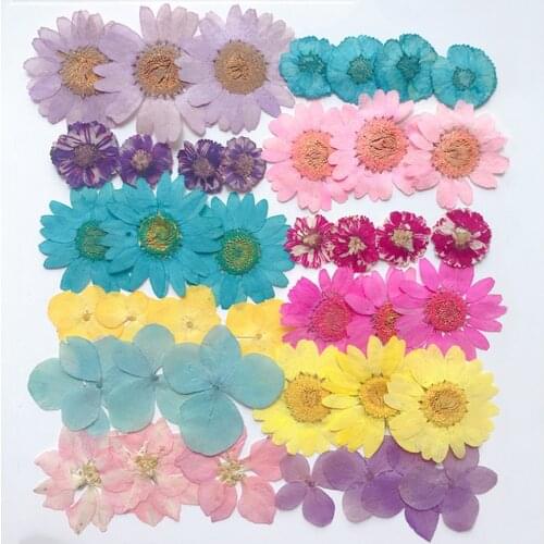 36 Pieces Pressed Dried Flowers Embellishments DIY Bookmarks