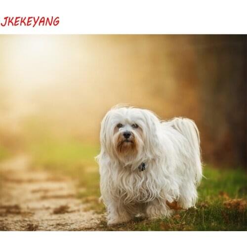 5D DIY square/round Diamond havanese dog Cross Stitch Diamond Embroidery Pattern Rhinestone J2149