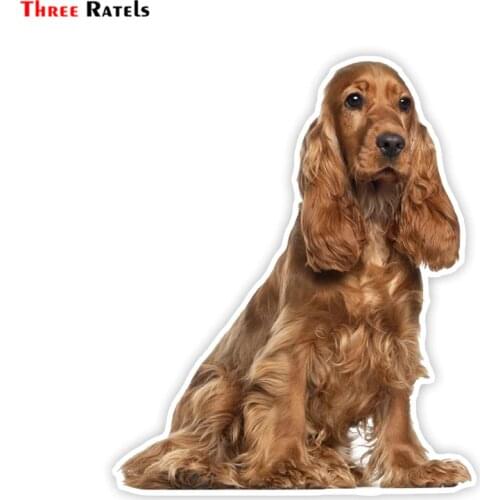 Three Ratels LCS005# 14x17cm golden cocker spaniel puppy colorful car sticker funny stickers styling removable decal