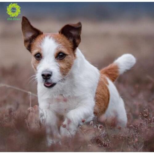 OSH DIY Diamond Mosaic Dog diamond embroidery Needlework Full Square Diamond Painting Cross Stitch Diamond Crystal Wall Art