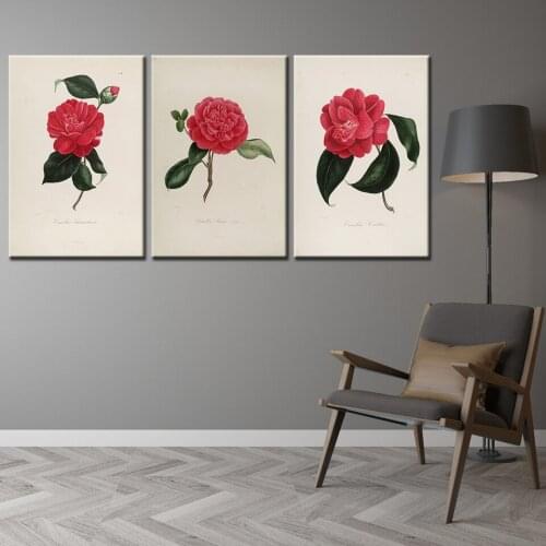 Living Room Wall Art Framework 3 Pieces Camellia flowers Paintings colorful Flowers Poster Modular Wallpapers Free shipping