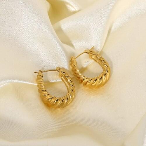 Stainless Steel Twill Croissant Oval Twisted Hoop Earrings For Women Girls Thick Circle Earrings Jewelry Accessories