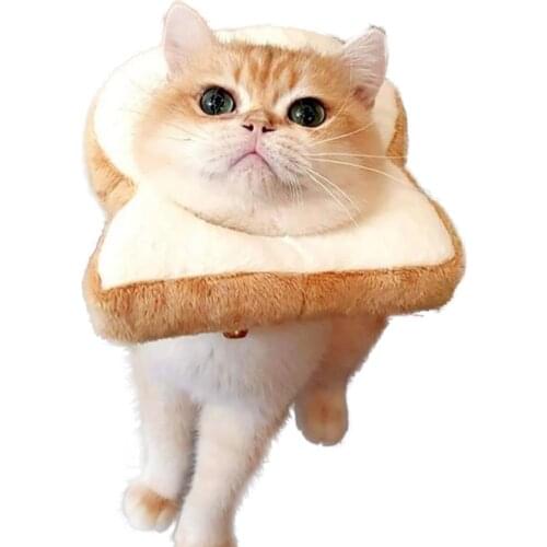 Funny Puppy Cat Headdress Toast Headdress Cute Bread Slice Headdress Hat Dog Cat Cosplay Dress Up Props Hats for Cats Decoration
