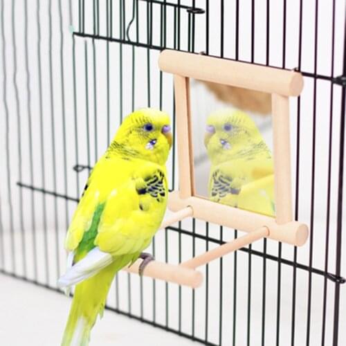 Bird Mirror With Perch, Bird Perch Mirror Toy Stand Bird Toy For Parrot Parakeets Cockatiels Cage