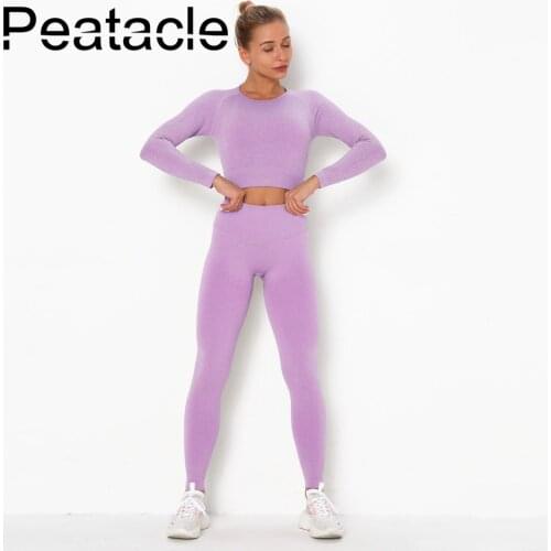 Peatacle New 2 Piece Set Yoga Suit Long Sleeve Tight Seamless Running Workout Outfits Sports Wear for Women Gym Fitness Clothing