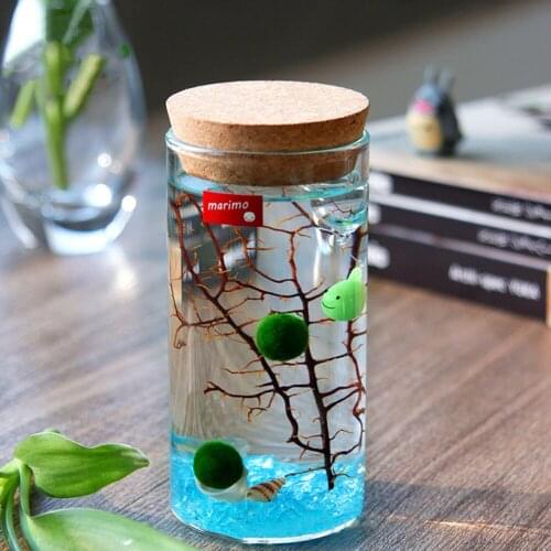 Vintage Flower Pot Terrarium Hydroponic Plant Vases Transparent Vase Frame Glass Tabletop Home Decor Cork Globe Terrarium Glass