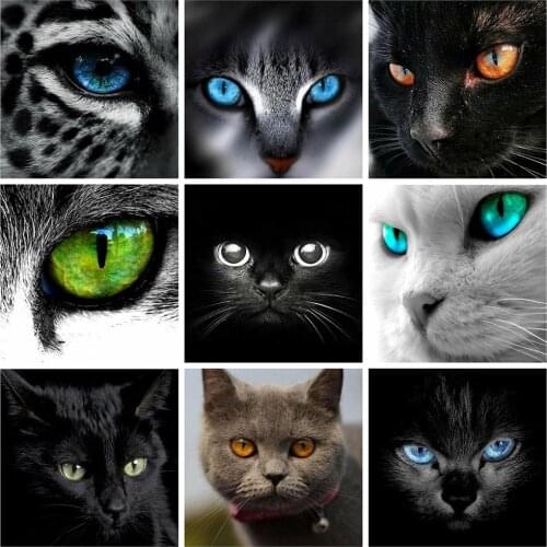 HUACAN Full Square Diamond Painting 5d Animal DIY Diamond Embroidery Cross Stitch Cat Eye Home Decor Handicraft