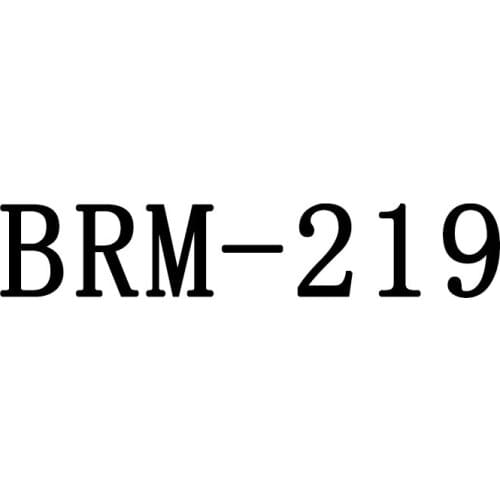 2019 Breathable Fashion Sneakers Men Casual Shoes Mesh Shoes New BRM-219