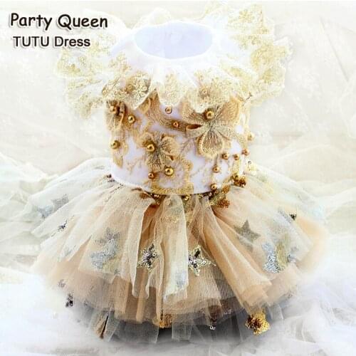 Dog Clothes Princess Dress Pet Tutu Champagne Hot Stamping Lace Skirt Magical Stars Party Take Photos Outing Drop Ship