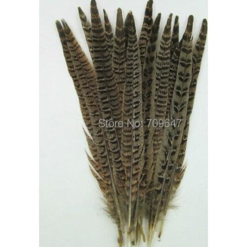 100Pcs/lot!10-12" 25-30cm long Natural Hen Ringneck Pheasant Tail Feathers,Pheasant Feathers,piume decorative,feder,feathers