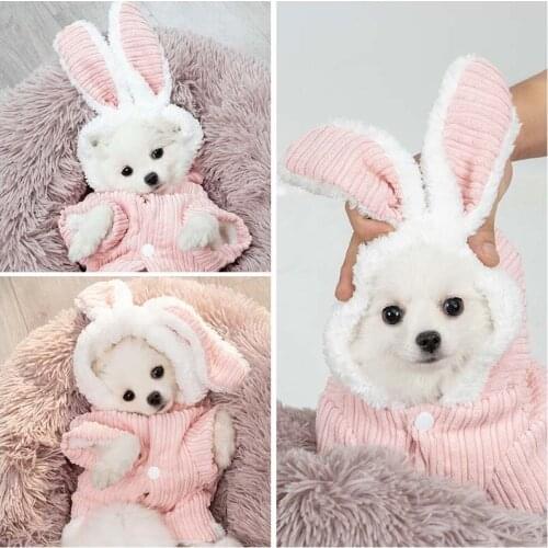 Autumn and winter cute rabbit ears winter thick warm sweater Teddy Hiromi Bichon clothes small dog clothes