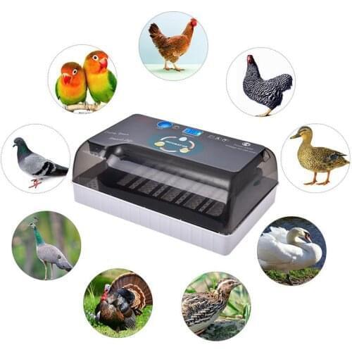 Digital Egg incubator automatic Intelligent Egg incubators Hatcher Large 12 eggs incubators For Chicken Duck Poultry Quail Eggs