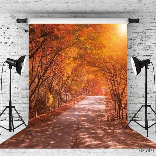 Autumn Maple Trees Road Photo Backgrounds Vinyl Cloth Backdrops Photography Props for Baby Children Portrait Photocall Studio