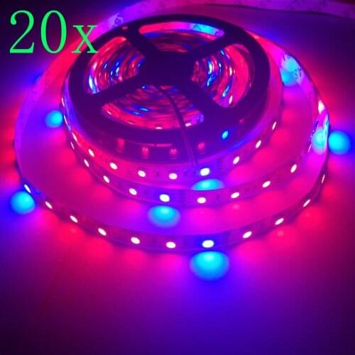 FREE DHL 100m/lot 5050 Grow LED Flexible Strip Non Waterproof Red Blue 5:1 For Greenhouse Flowers Veg Plant Grow Light DC12V
