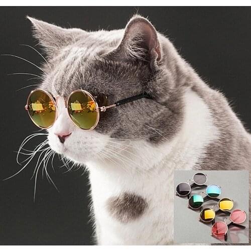2021 Lovely Pet Cat Glasses Dog Glasses Pet Products Kitty Toy Dog Sunglasses Photos Pet Accessoires Round Colorful Glasses sale