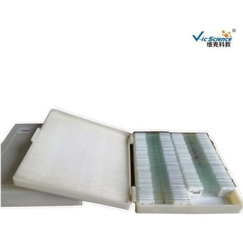 Biological Teaching Equipment 91pcs Plant Animal Mixed Prepared Slides Set