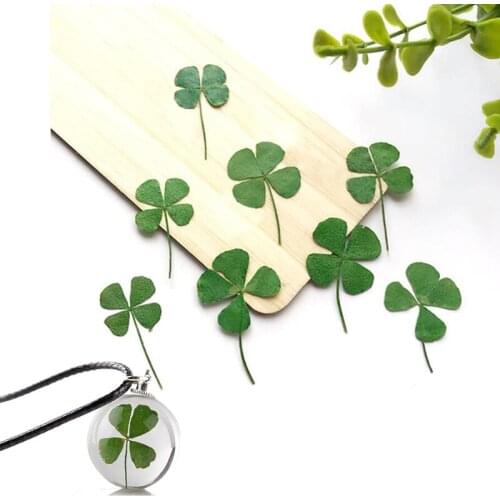 NEW 12 Pieces Dry Leaf Clover UV Resin Decorative Nail Art Epoxy Mould DIY Filled Jewelry