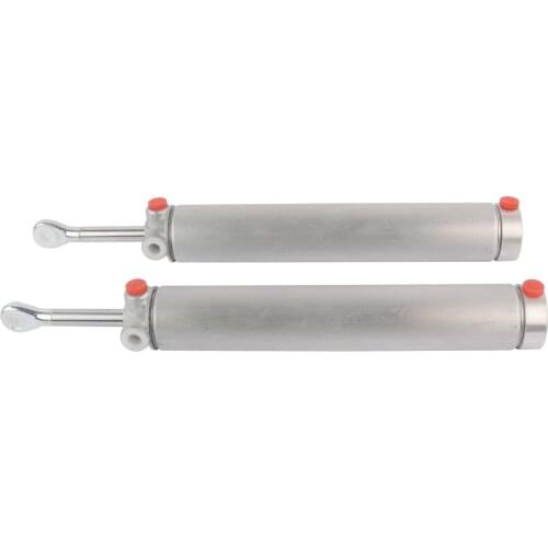AP03 Hydraulic Lift Cylinder For Ford Mustang & Cobra Convertibles Top Arms-Pr 1999-2004 XR3Z7650600A