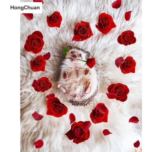 Flower Hedgehog Diamond Embroidery 5D DIY Diamond Painting Square/Round Diamond Inlaid Rhinestone Picture Mosaic CrossStitch Gif