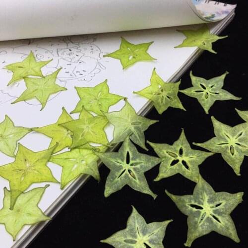 5pcs Dried Pressed Exopy Dyed Carambola Fruits Slices Plant Herbarium For Photo Frame Phone Case Bookmark Scrapbook Craft DIY