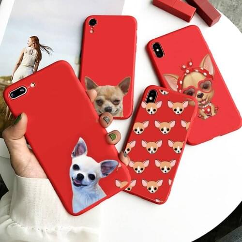 Chihuahua Dog Cute animal luxury mobile cover Phone Case Candy Color for iPhone 6 7 8 11 12 s mini pro X XS XR MAX Plus