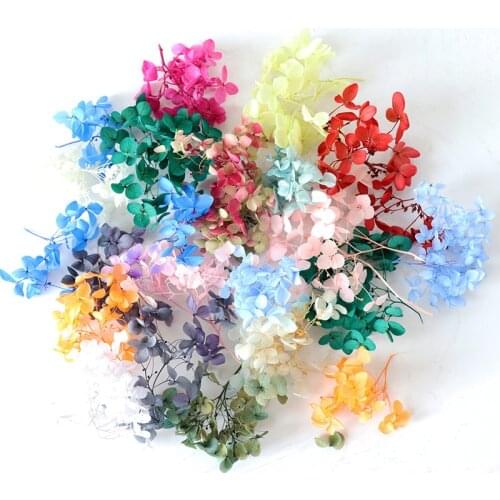 Hydrangea Angustifolia DIY Package Handmade Dry Flowers Hydrangea Home Decoration Accessories Mothers Day Garland Party Supplies