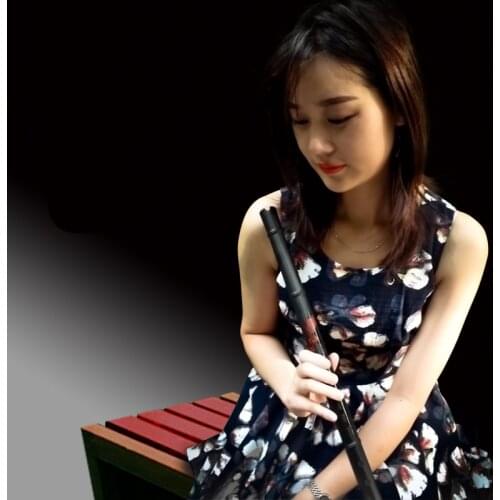 Metal Aluminium Alloy Flute Xiao not dizi F/G Key 6 or 8 hole musical instruments professional flauta Vertical xiao flute