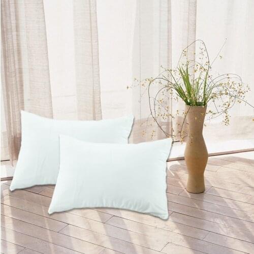 New Arrival Cheapest 50*70CM Waterproof Pillow Protector/ Pillow Cover For Bed Wetting And Bed Bug One Pair