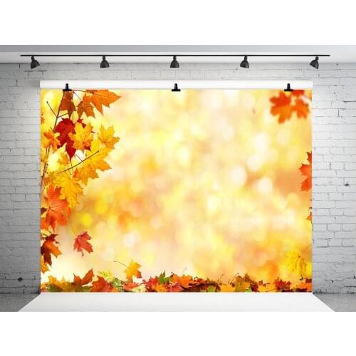 VinylBDS 250x250cm Autumn Nuture Background Photography Fallen Leaves Back Drops For Photography Fantasy Children Photo