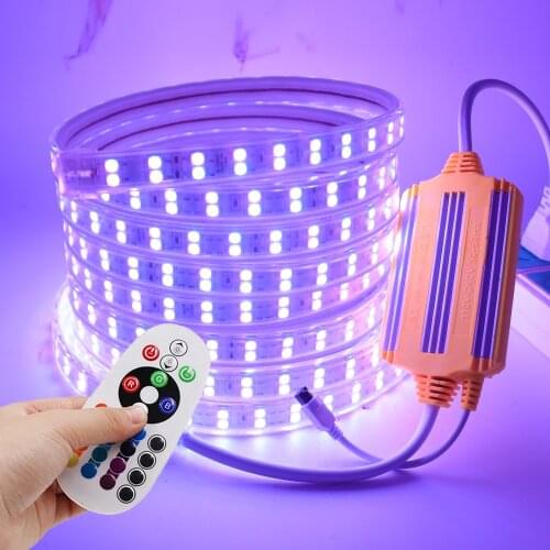 5050 RGB LED Strip EU 220V Waterproof 60LEDs/m 120leds/m Flexible Tape Ribbon LED Light Strip