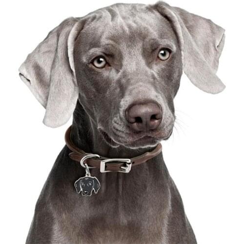 1pc Dog Charms Dog ID Hang Charms Pendants Dog Tag Handmade DIY Jewelry Making