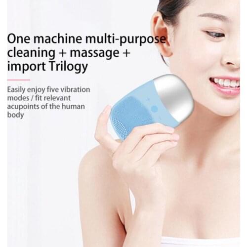 Firstsun Electric Face Brushes