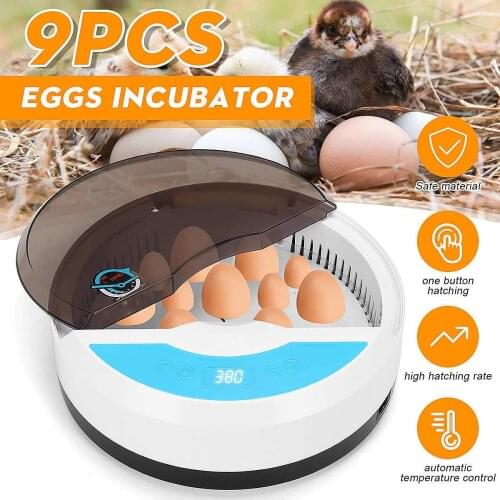 9 Egg Fully Automatic LED Incubator Temperature Humidity Chicken Incubator Farm Hatchery Machine Accessories For Bird Quail