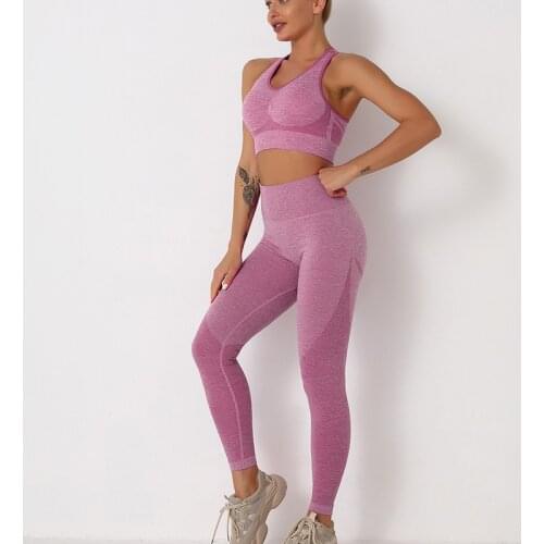 Seamless Workout Yoga Sets Sports Bra and Leggings Women Gym Set Clothes Fitness Sportswear Fitness Sports Suit 2 Pieces Gym Set