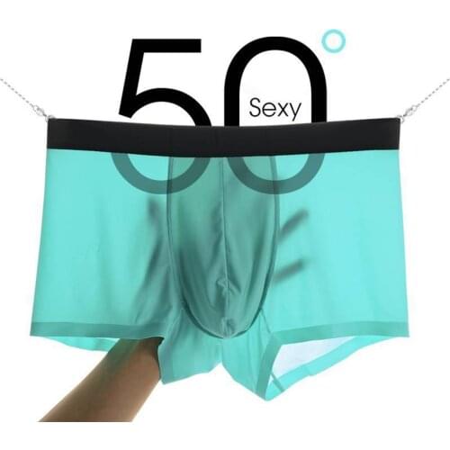 Ice Silk Underpants Breathable Boxer Super Thin Men Summer Panties Seamless male mens underpants cueca boxer homme 2020
