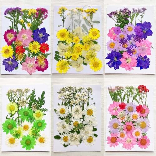 Real Dried Pressed Flowers Leaves Natural Flowersfor Scrapbooking DIY Candle Decoration Resin Jewelry Crafts Making